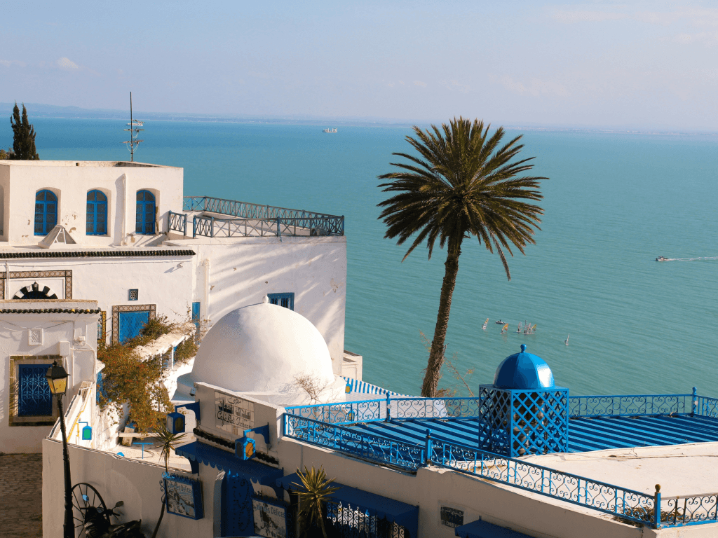 The Upside of Developing in Tunisia