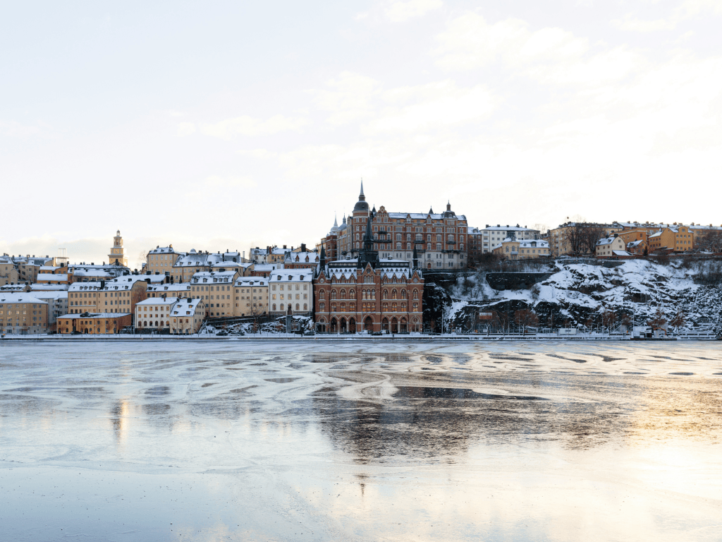 Unlocking the E-Commerce Goldmine: The Hidden Power of Sweden