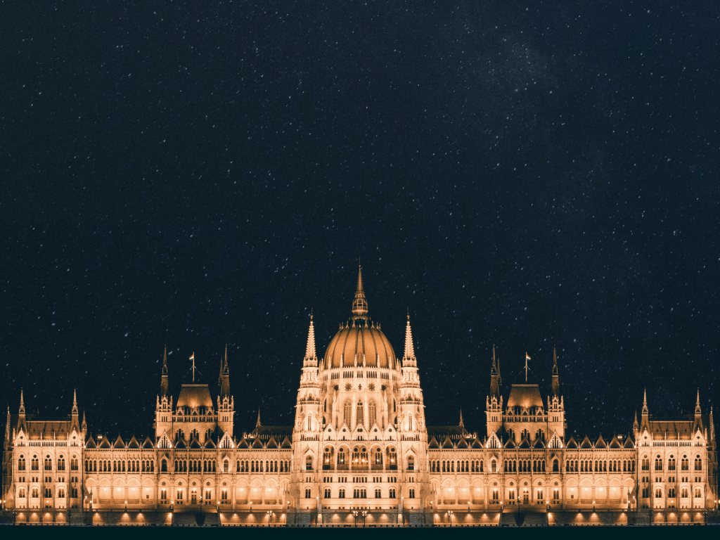 The Future of Franchising in Hungary