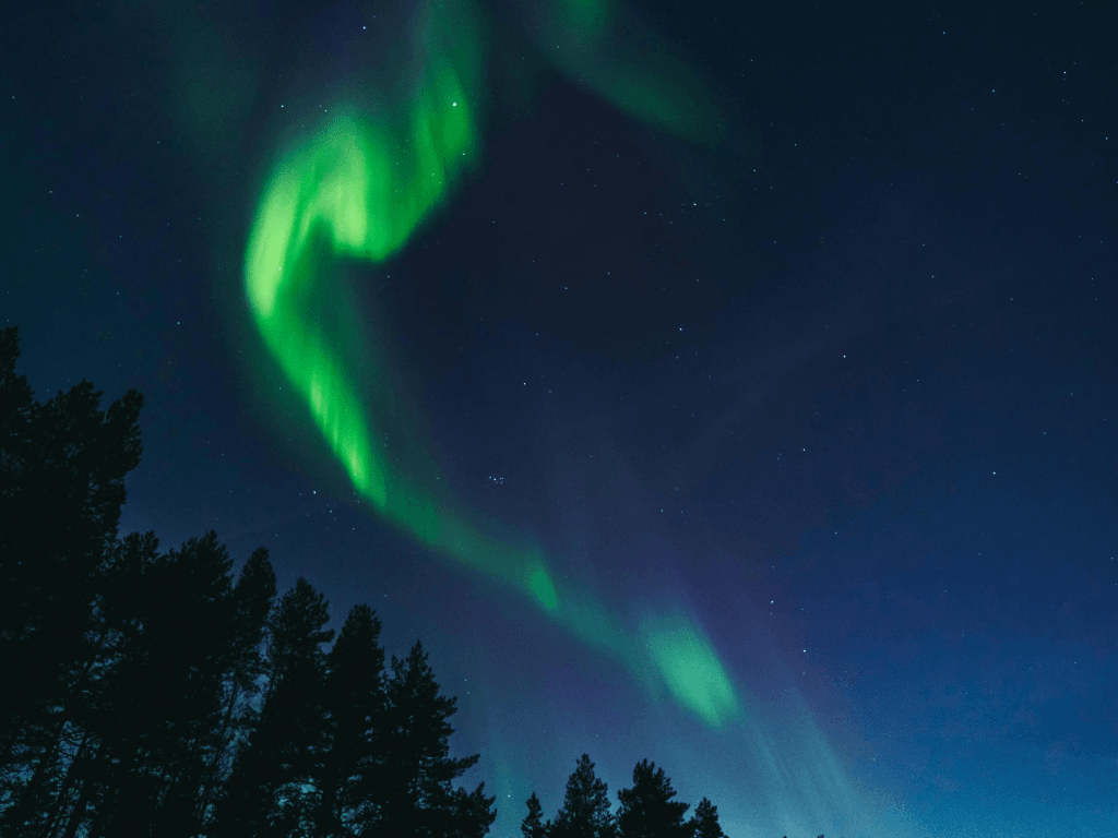 Finland’s Entrepreneurial Landscape: Innovation Rooted in Education