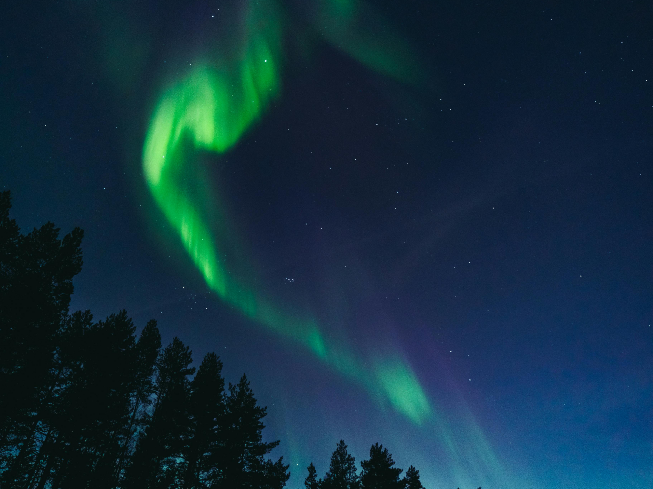 Finland’s Entrepreneurial Landscape: Innovation Rooted in Education